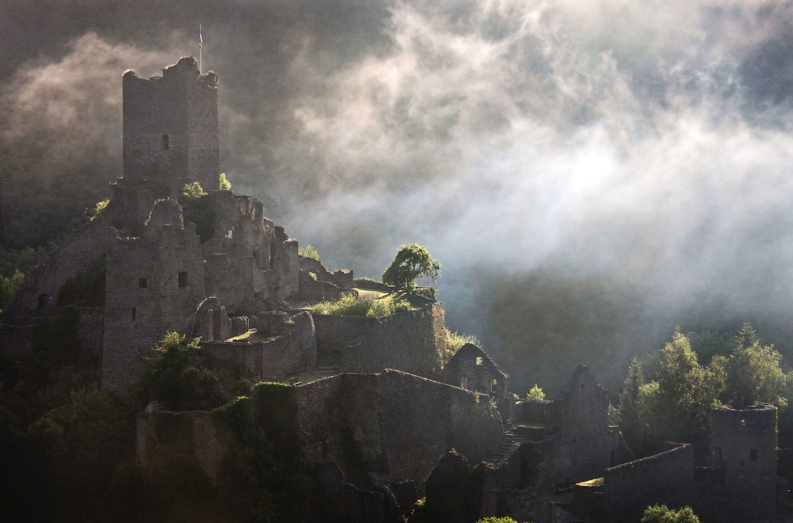 livingwalls Fotobehang XXLwallpaper 2