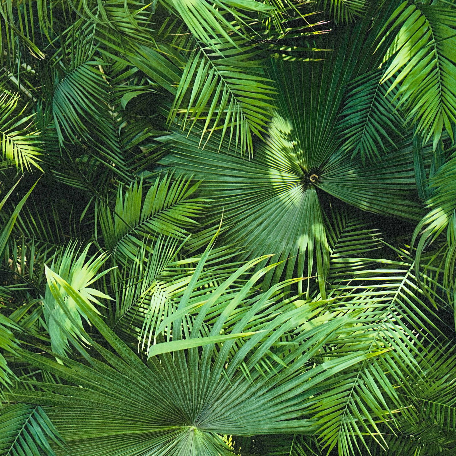 livingwalls Design panel pop.up panel 3D