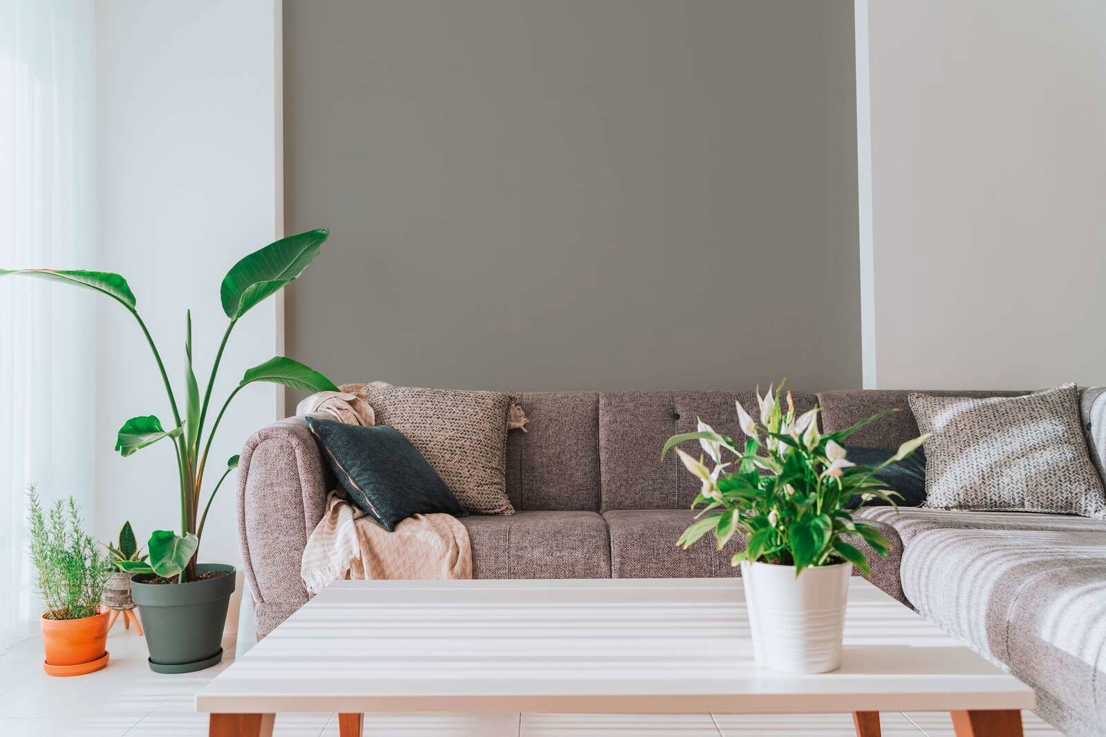 A.S. Création Tapete Antigua