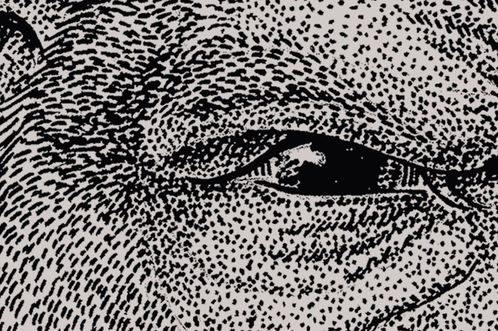 walls by patel Fotobehang Walls by Patel