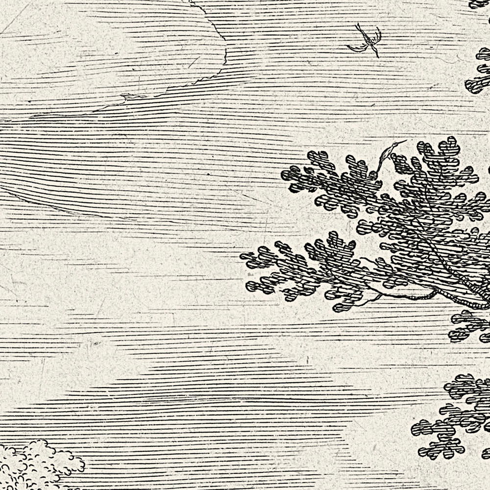 walls by patel Fototapete Walls by Patel 3 walls by patel Fototapete Walls by Patel 3