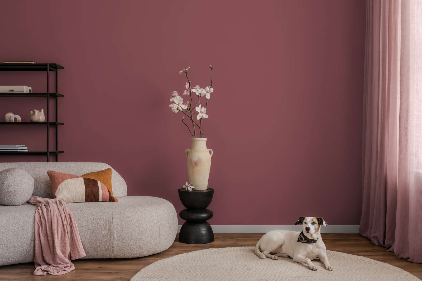 The Color Kitchen Kleur Color Kitchen