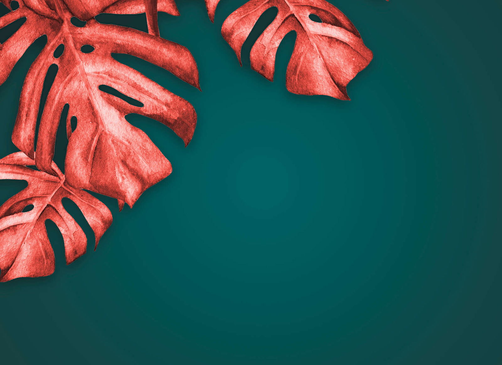 livingwalls Photo wallpaper Designwalls 2