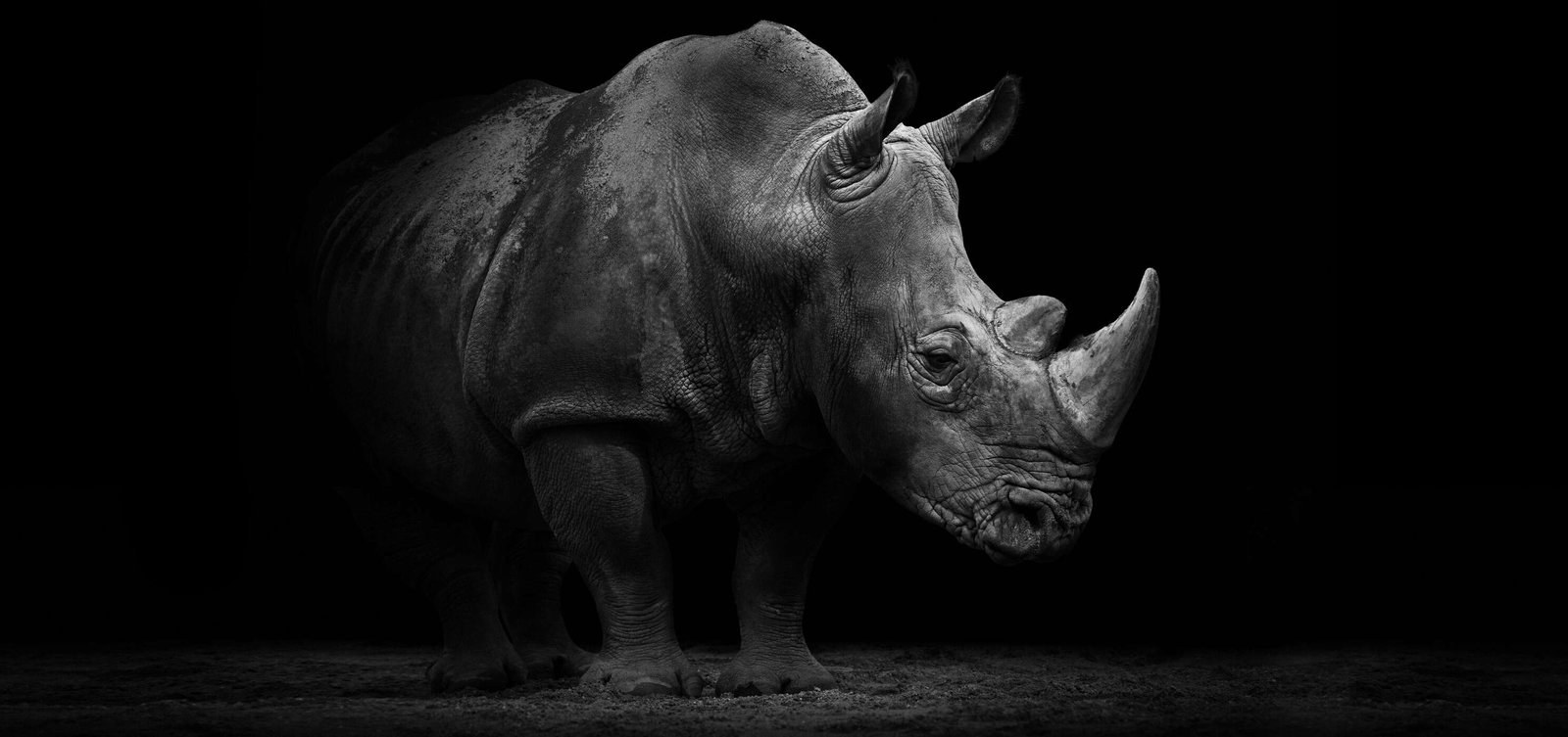 Architects Paper impression numérique AP Digital 2