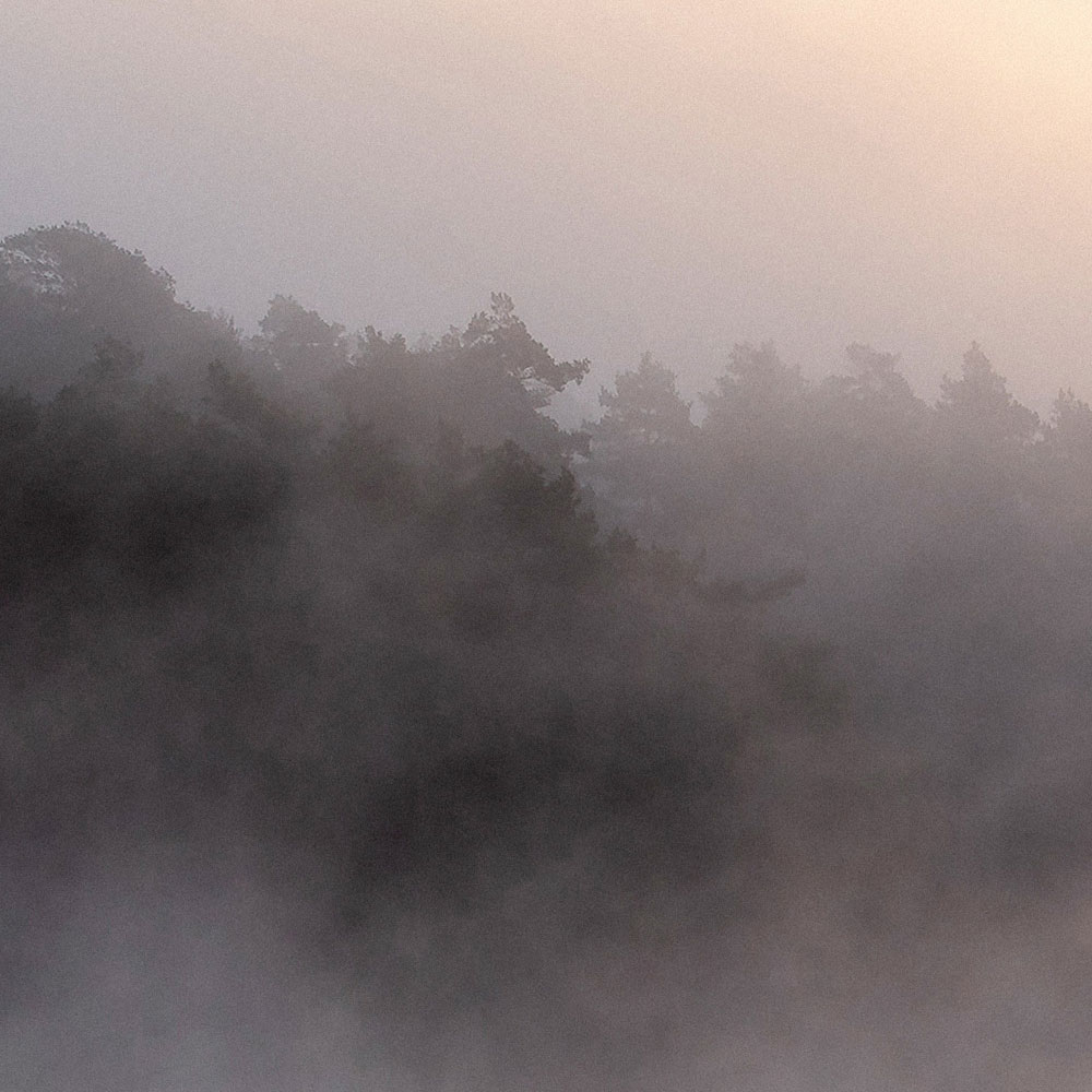 walls by patel Photo wallpaper Walls by Patel 3