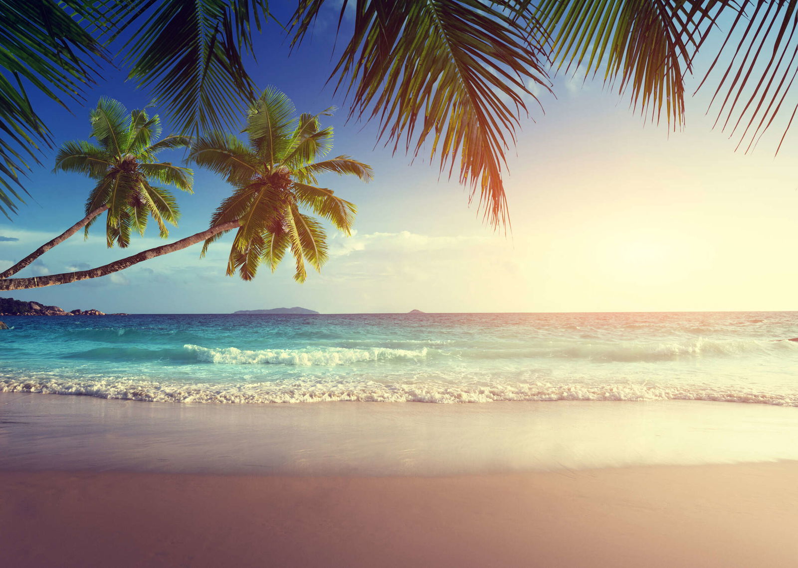 livingwalls impression numérique XXLwallpaper 3