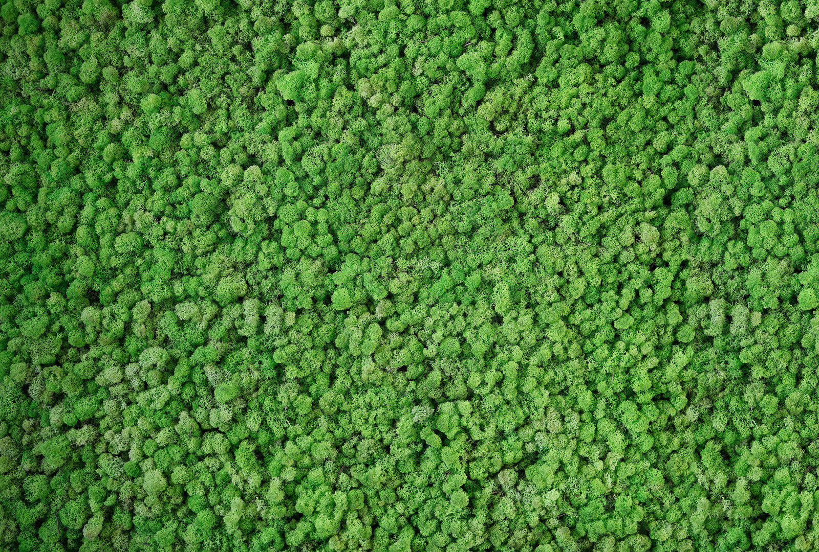 Architects Paper Fototapete AP Digital 4