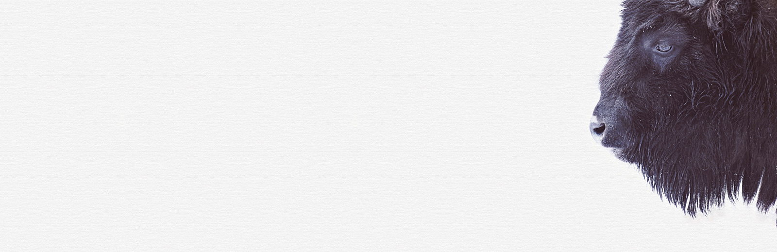 livingwalls Фотообои ARTist