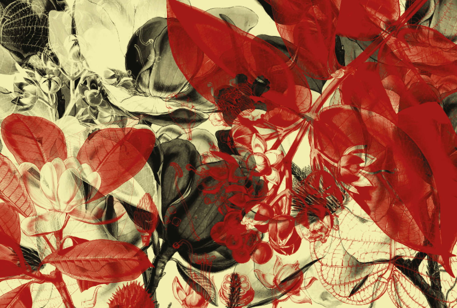 Architects Paper Fotobehang AP Digital