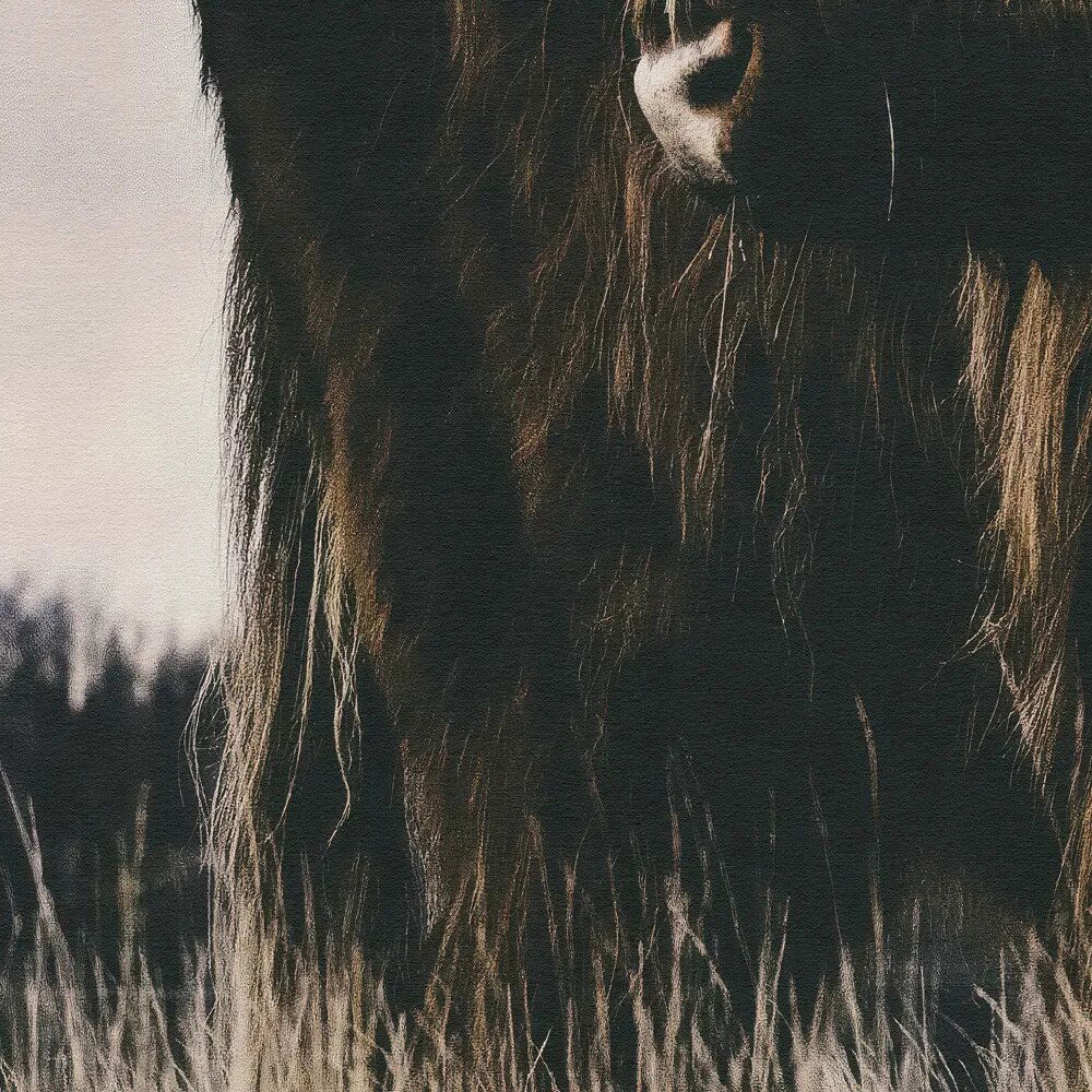 walls by patel Фотообои Walls by Patel 5