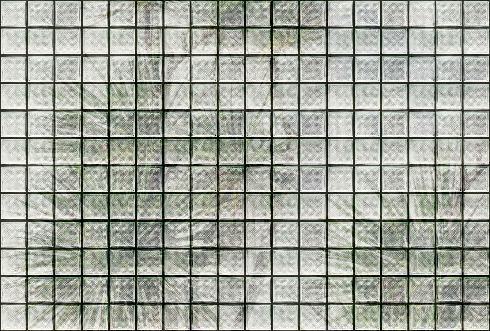 walls by patel Fotobehang Walls by Patel 3