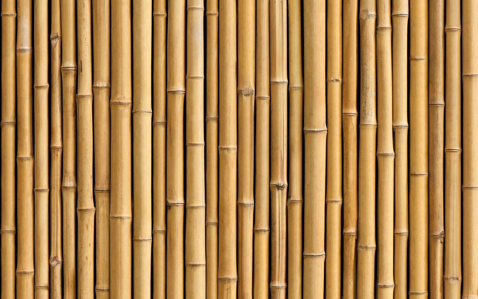 livingwalls Photo wallpaper XXLwallpaper 3
