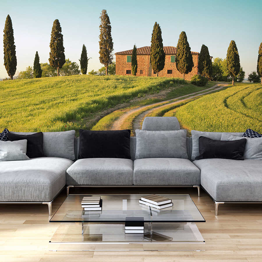 livingwalls Фотообои XXLwallpaper 2