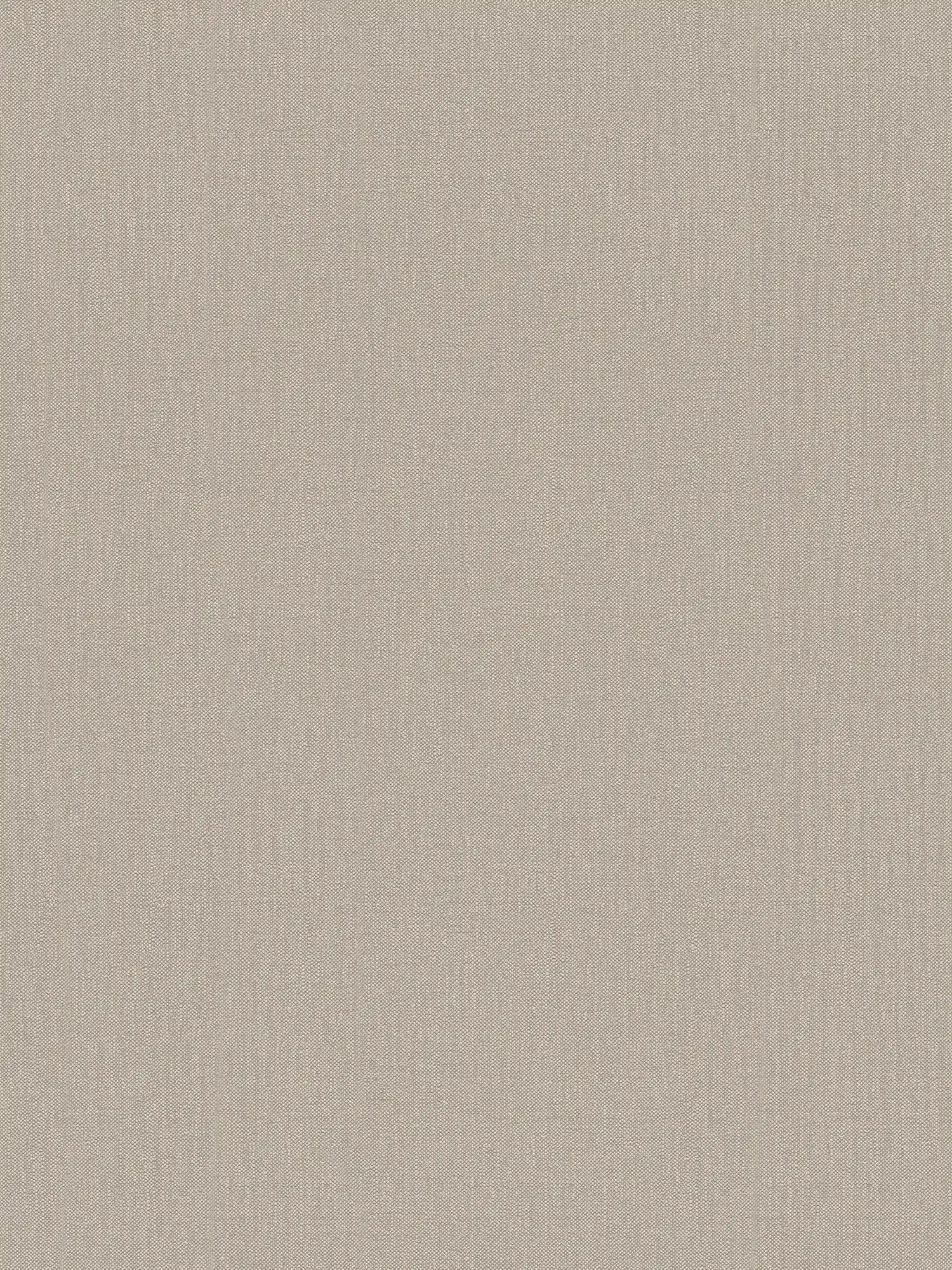 A.S. Création Wallpaper Terra 2022