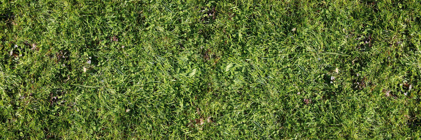 Architects Paper impression numérique AP Digital