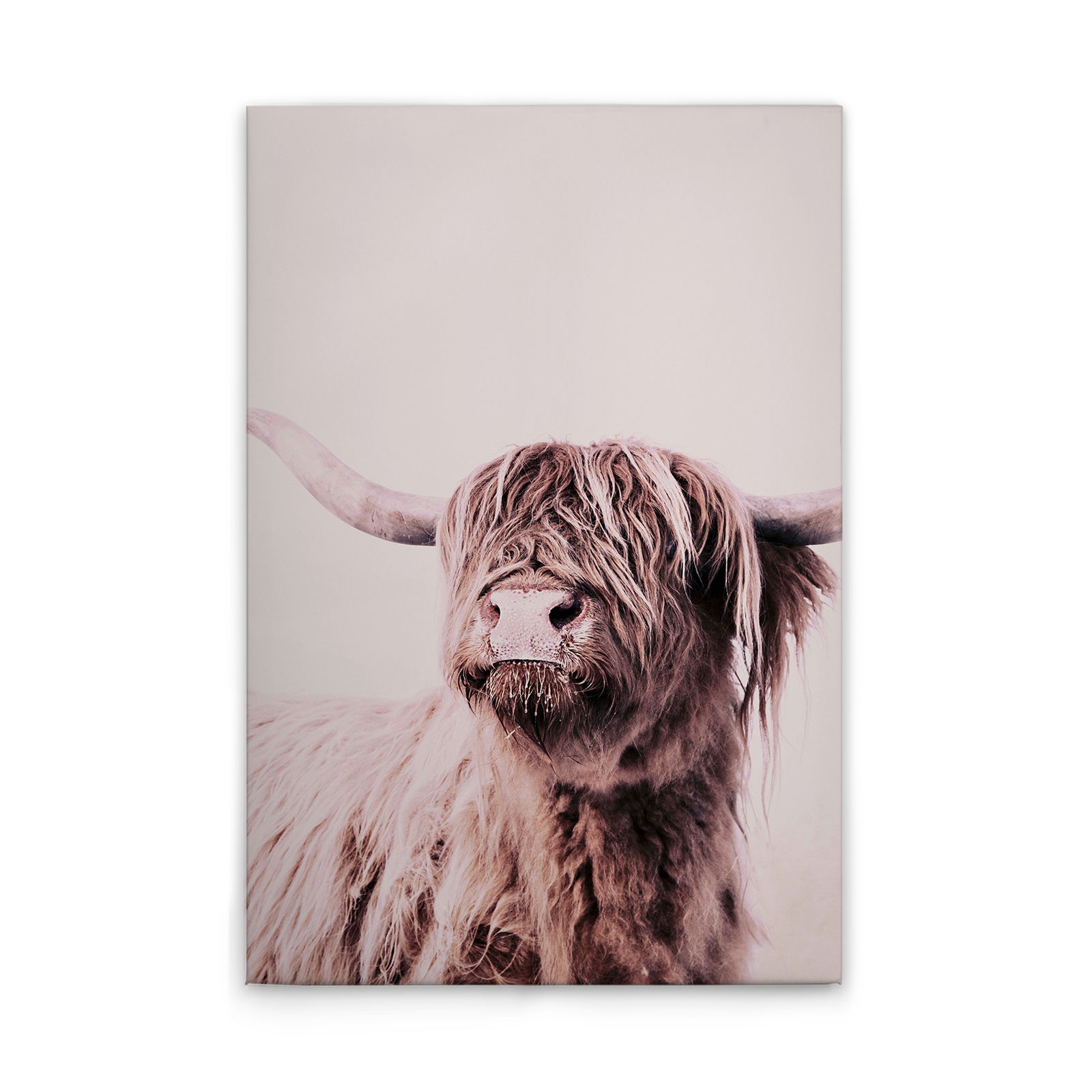 livingwalls tableau sur toile ARTist