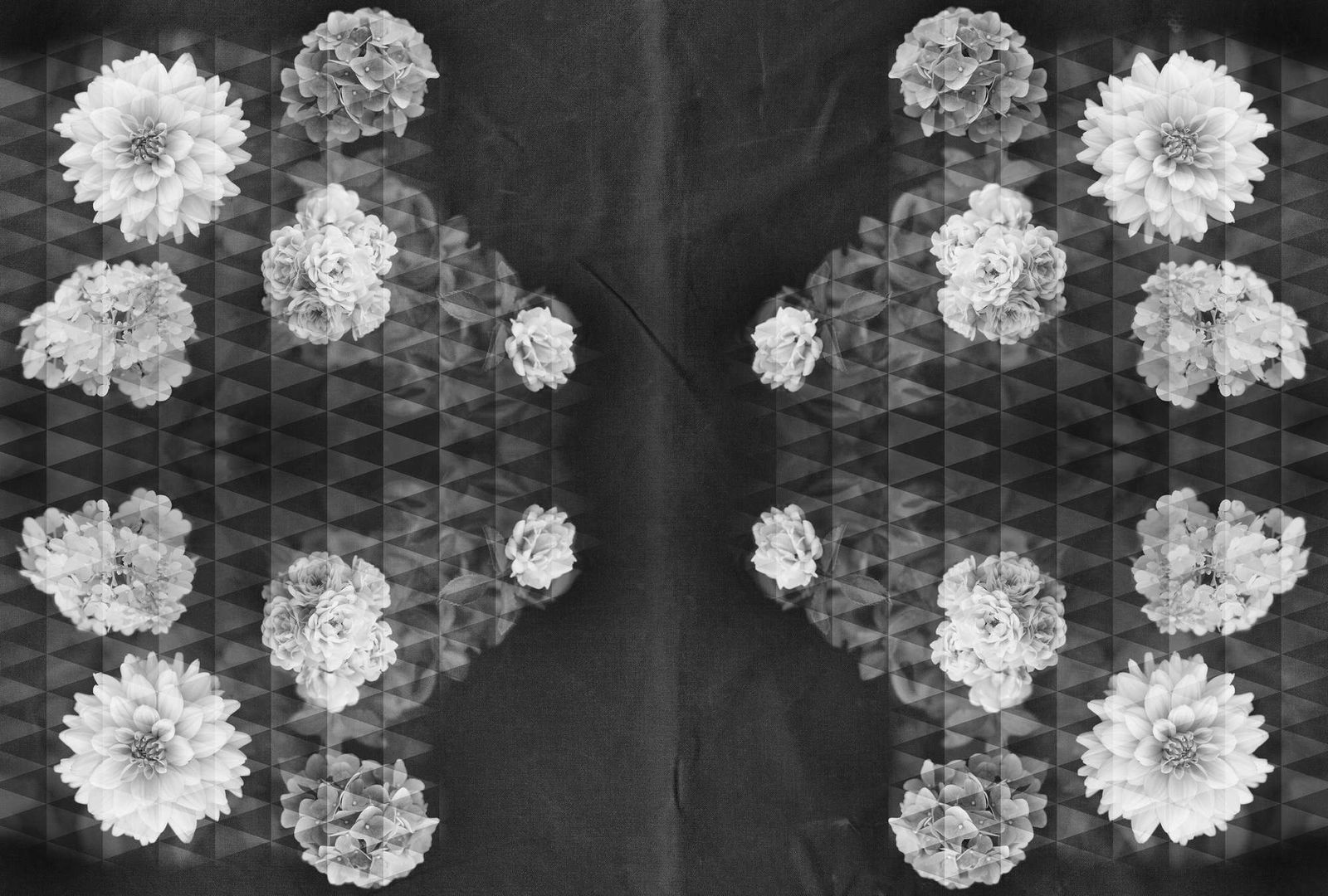 Architects Paper Fototapete AP Digital 4 Architects Paper Fototapete AP Digital 4