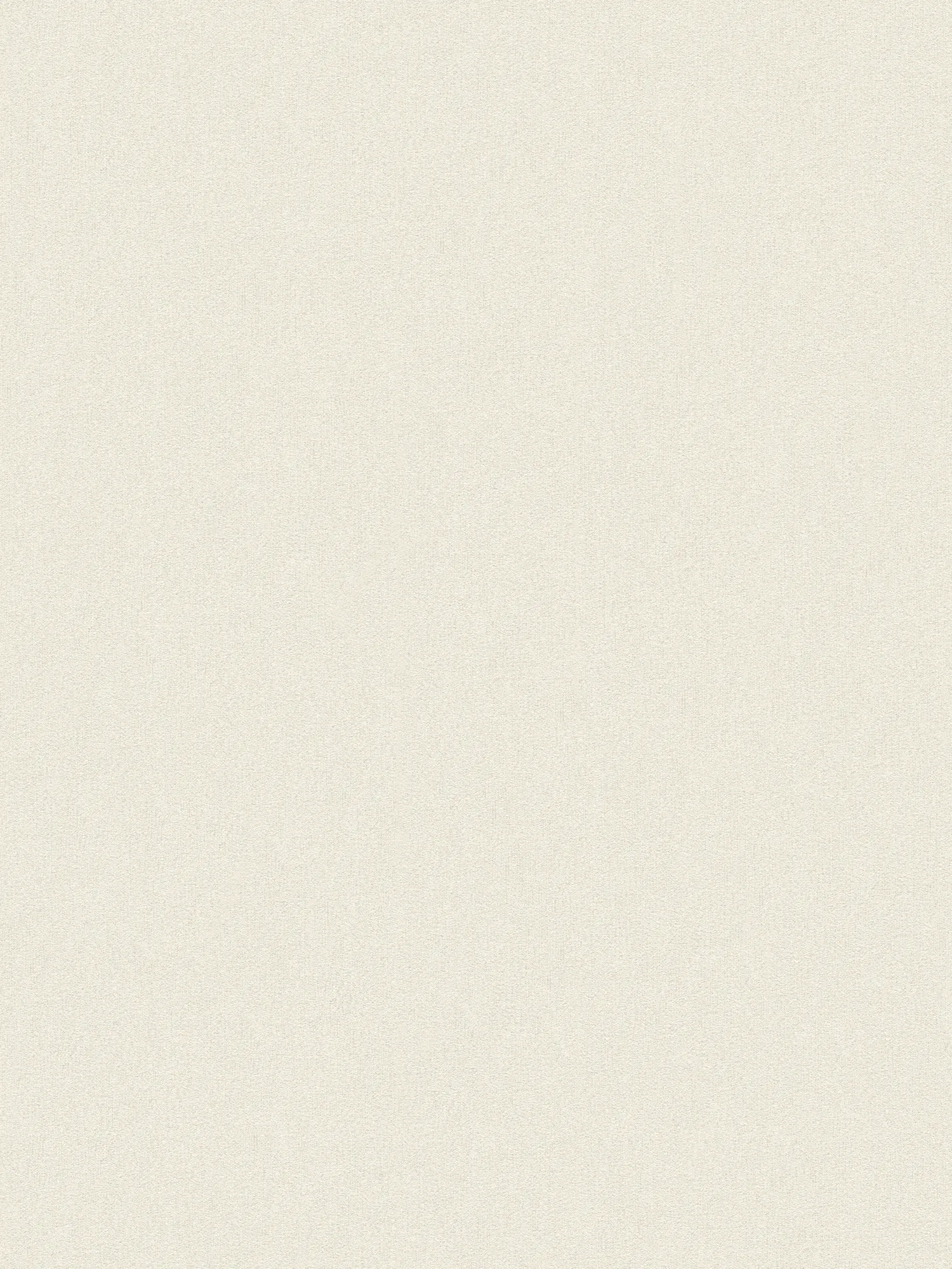 A.S. Création papier peint Attractive 2