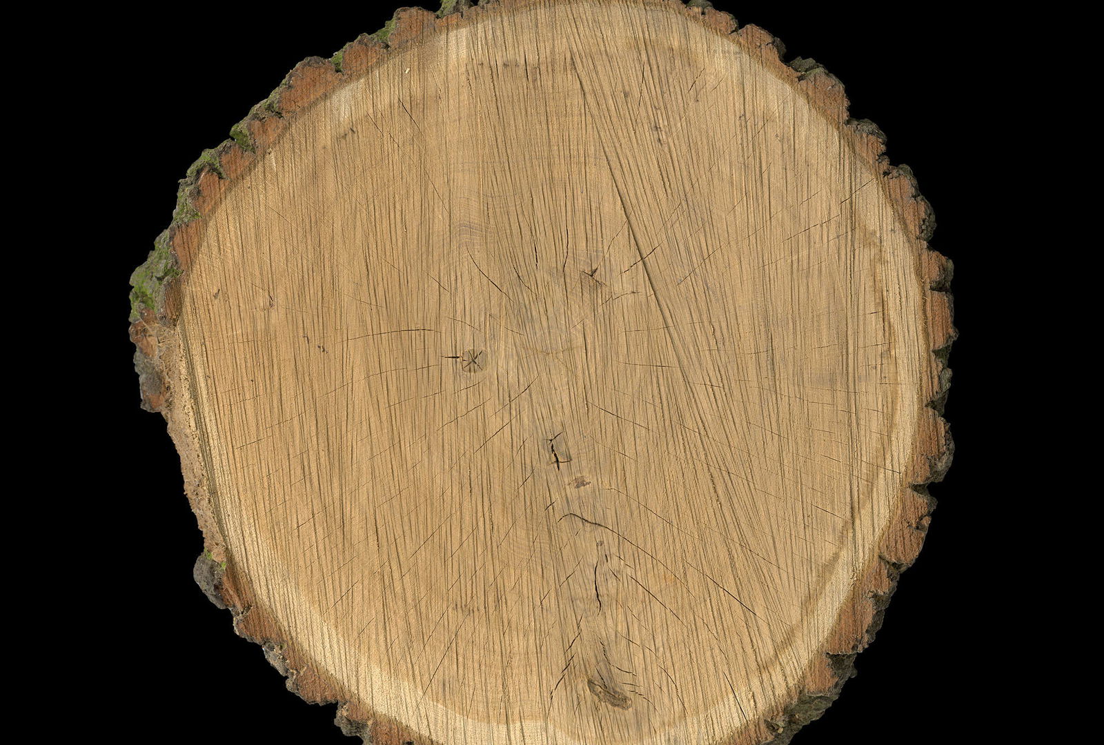 Architects Paper Photo wallpaper AP Digital 4