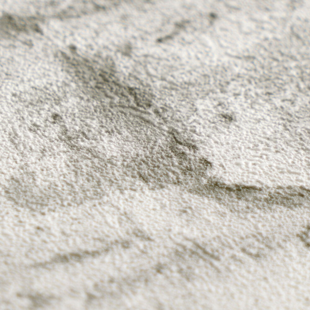 A.S. Création Wallpaper Attractive 3