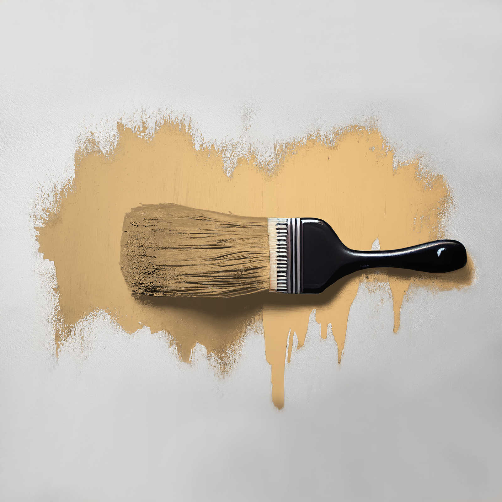 The Color Kitchen Kleur Color Kitchen
