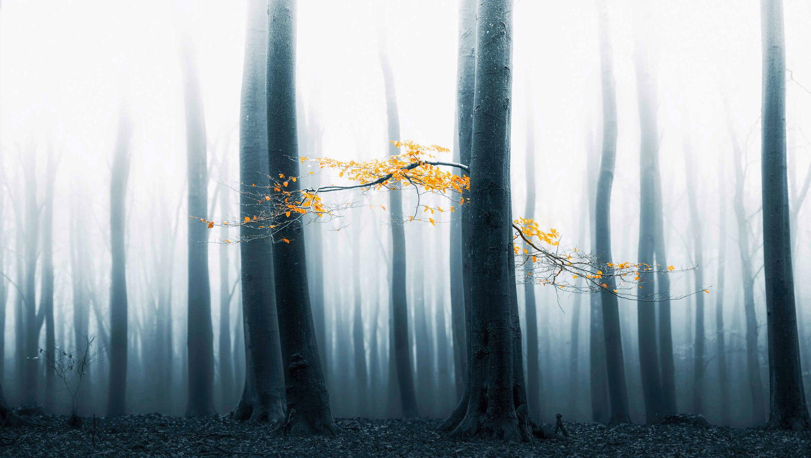 Architects Paper Fototapete AP Digital 4