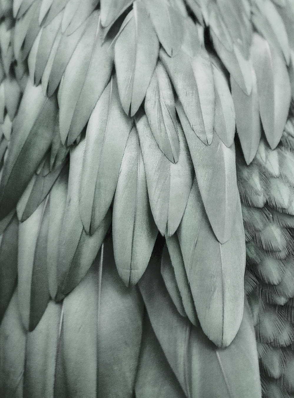 livingwalls Photo wallpaper ARTist