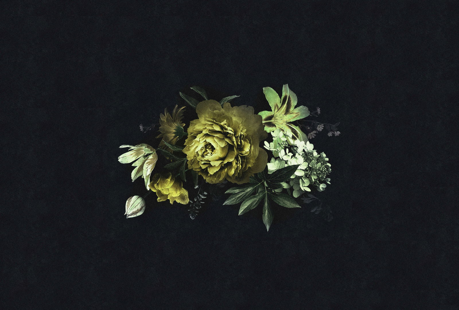 walls by patel Fotobehang Walls by Patel 2