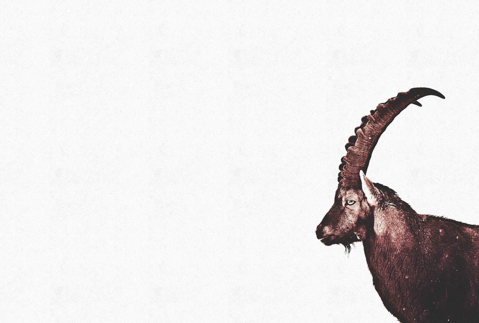 livingwalls Фотообои ARTist