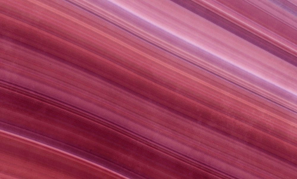 walls by patel impression numérique Walls by Patel