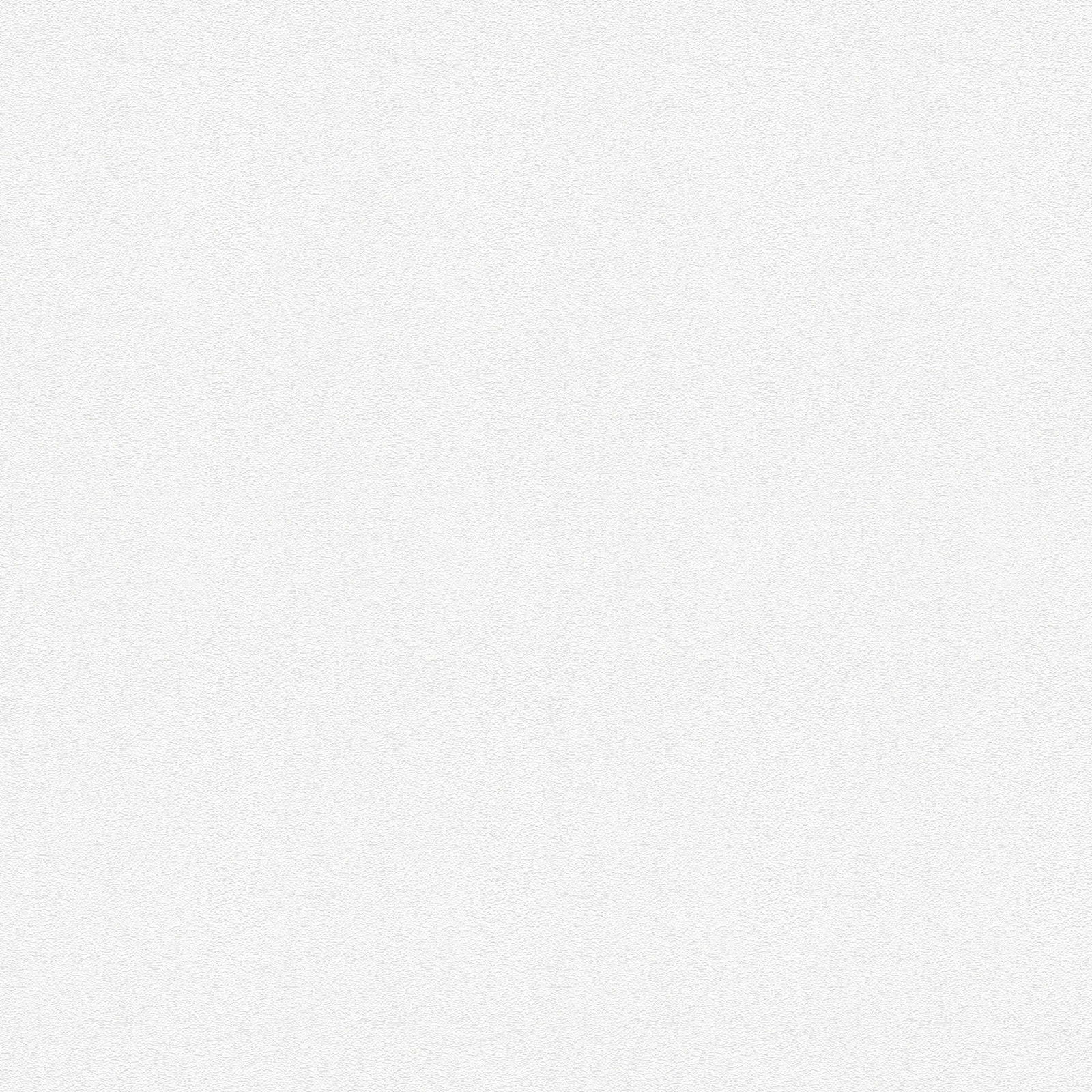 A.S. Création Tapete Meistervlies Create A.S. Création Tapete Meistervlies Create