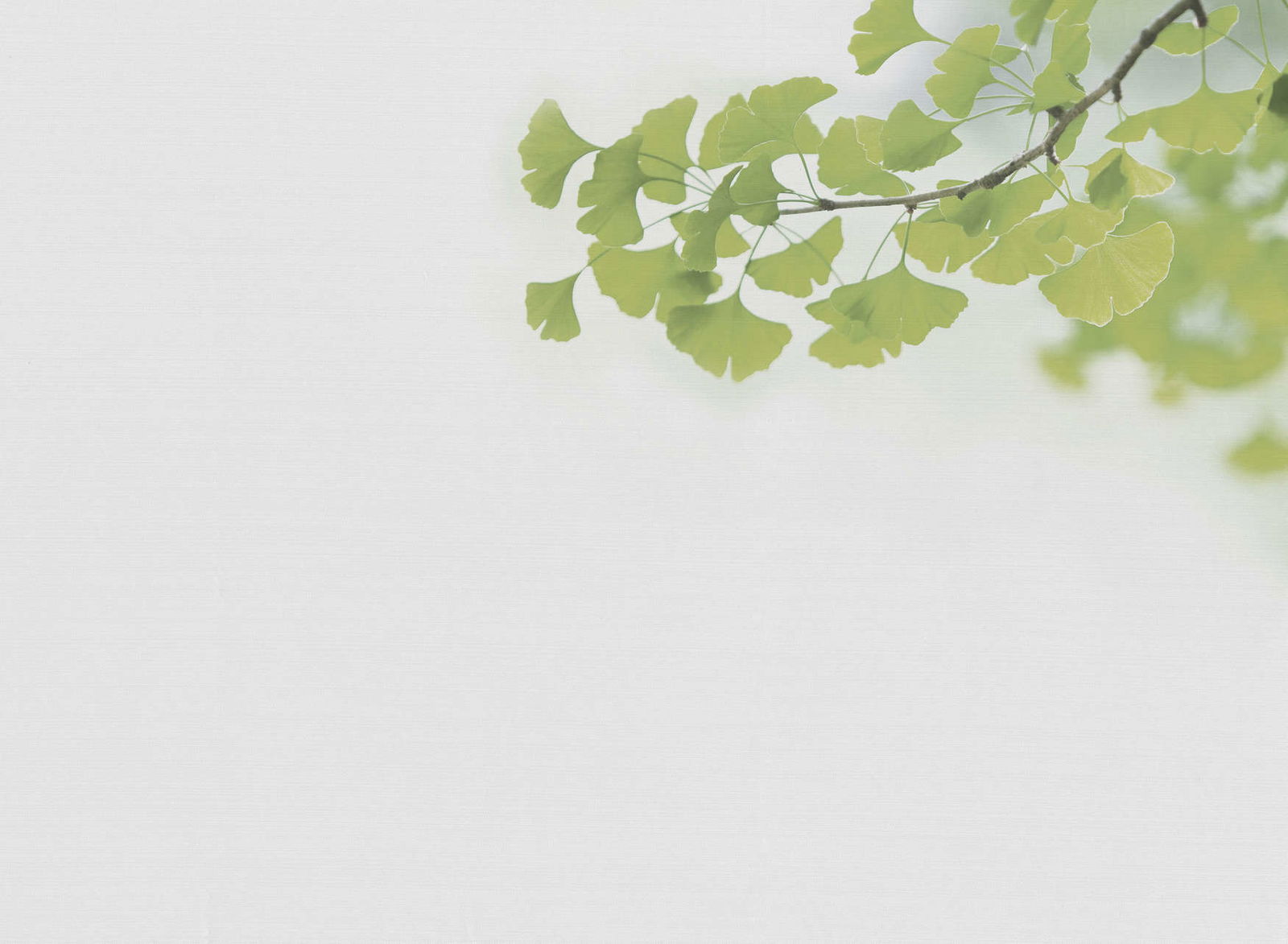 livingwalls Fotobehang Designwalls 2