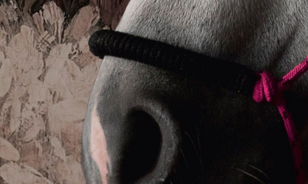 walls by patel impression numérique Walls by Patel