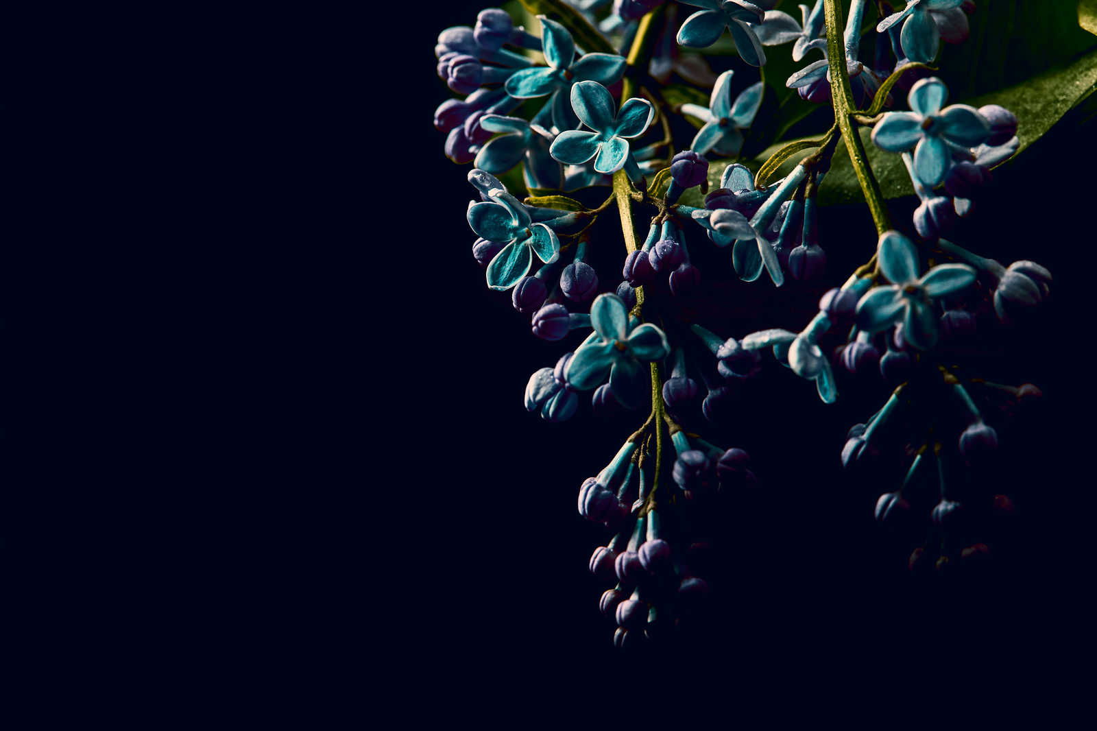 livingwalls Canvas print Designwalls 2