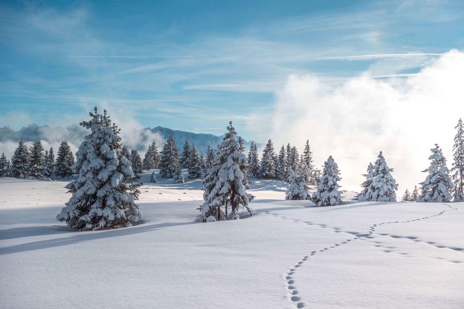 livingwalls Fototapete XXLwallpaper 3