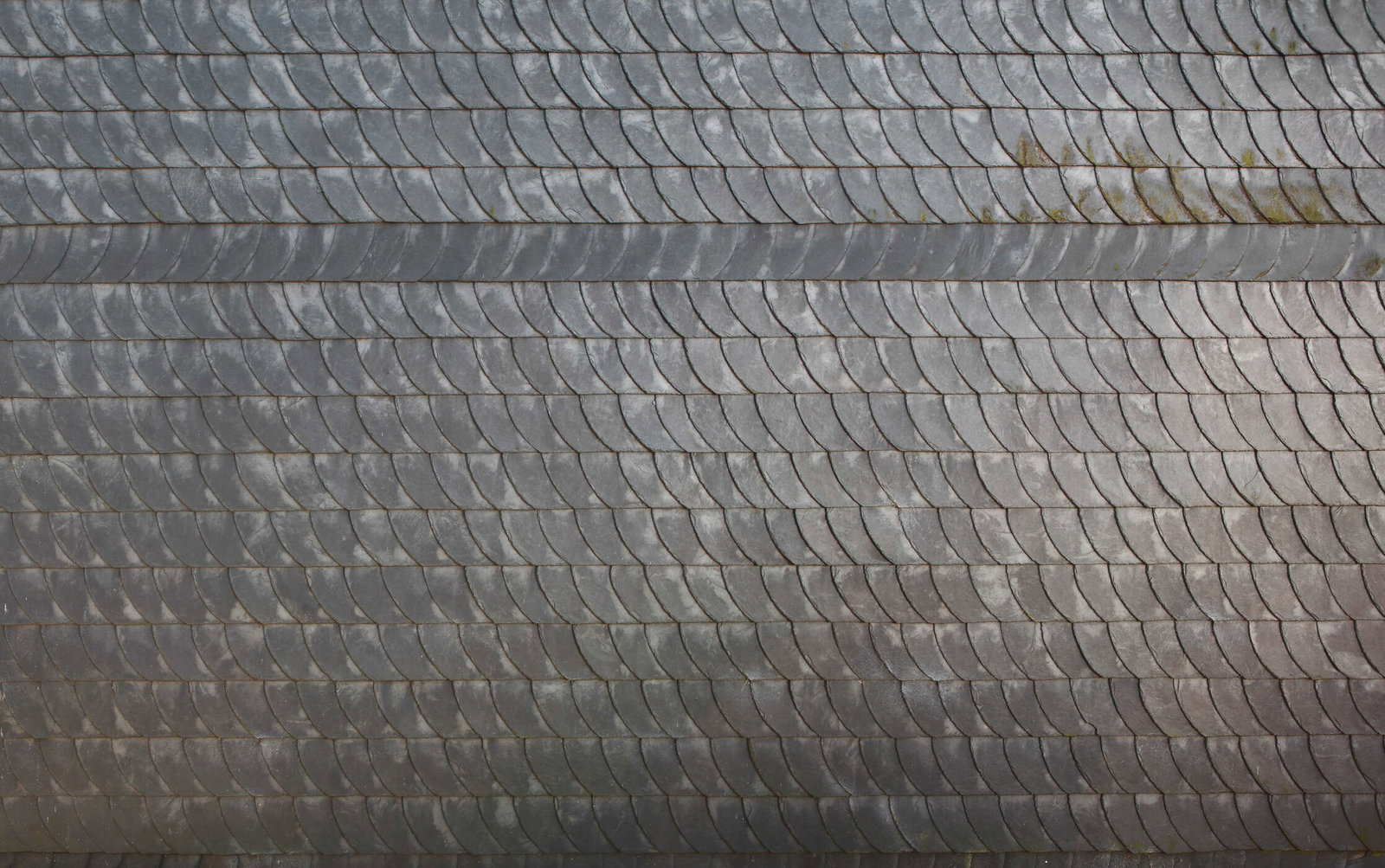 Architects Paper Fototapete AP Digital 3