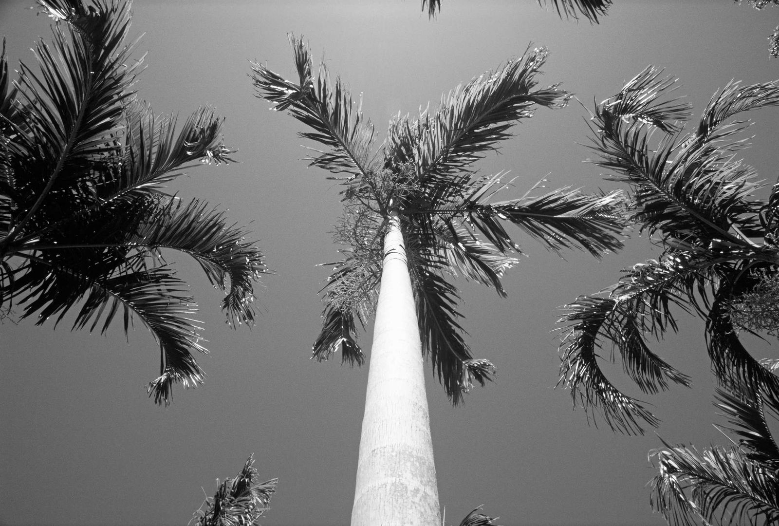 Architects Paper Fototapete AP Digital Architects Paper Fototapete AP Digital