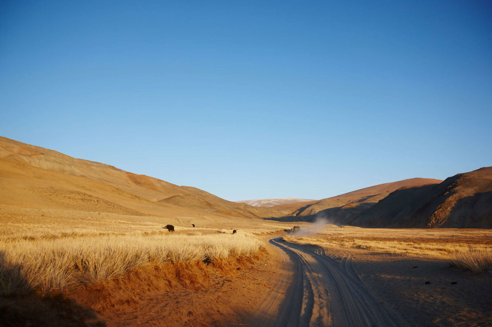 Architects Paper impression numérique AP Digital