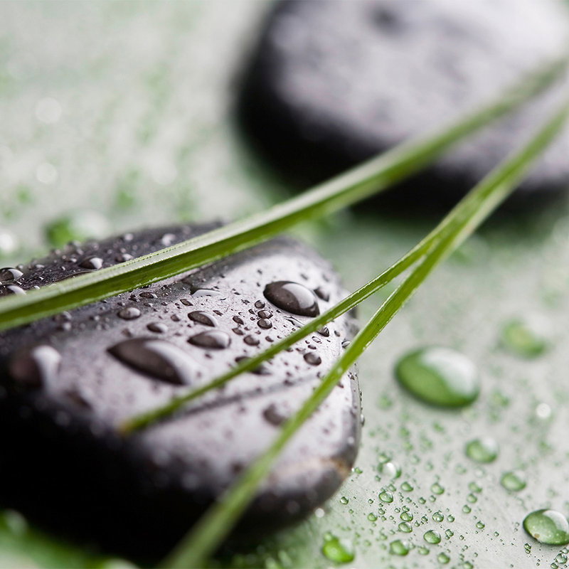 livingwalls Fototapete Nature