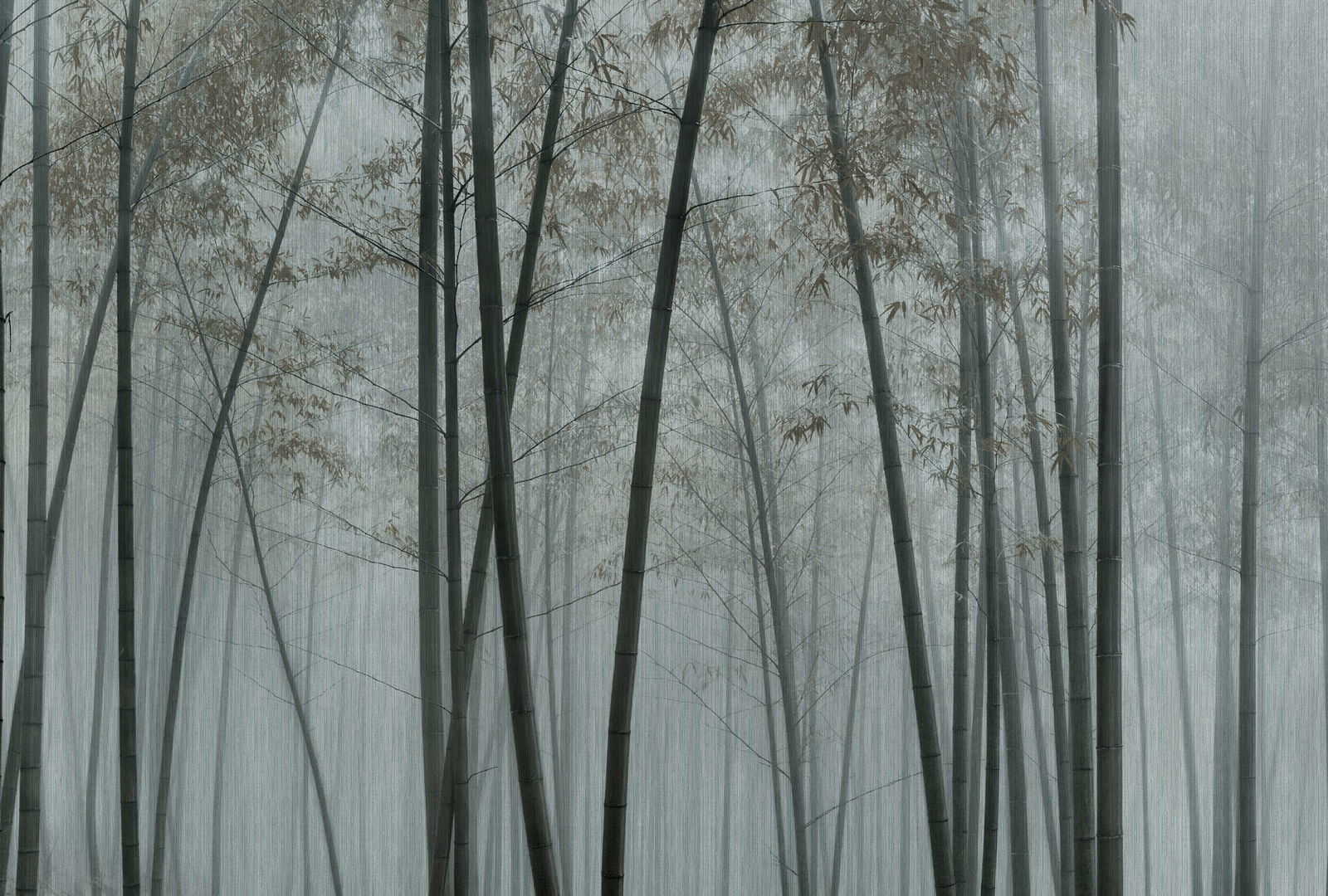 walls by patel Fotobehang Walls by Patel 3