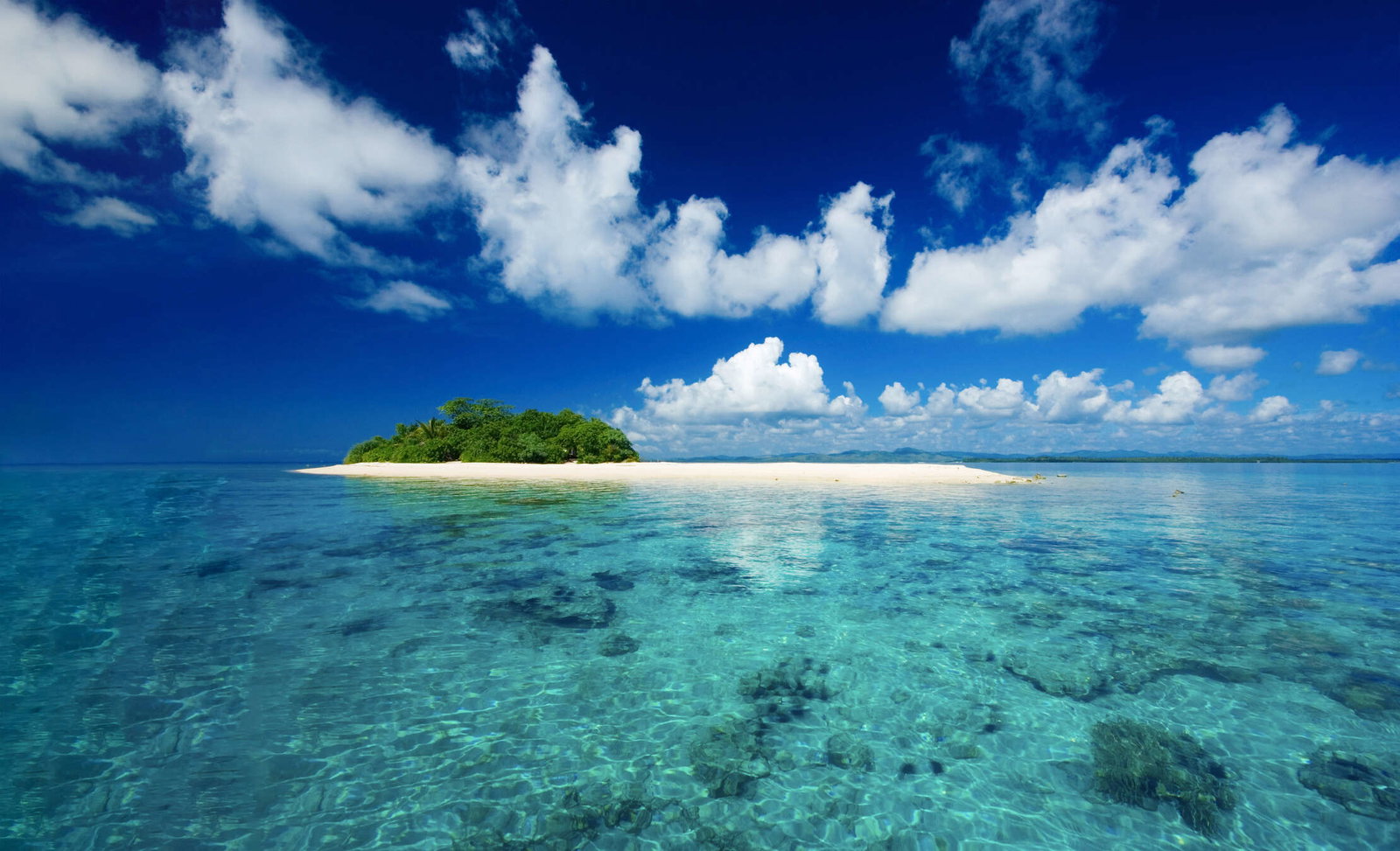 livingwalls Fotobehang Nature