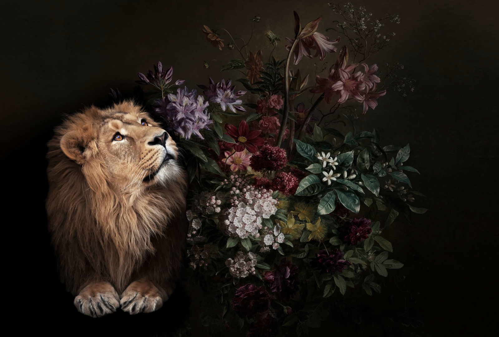 walls by patel Photo wallpaper Walls by Patel walls by patel Photo wallpaper Walls by Patel