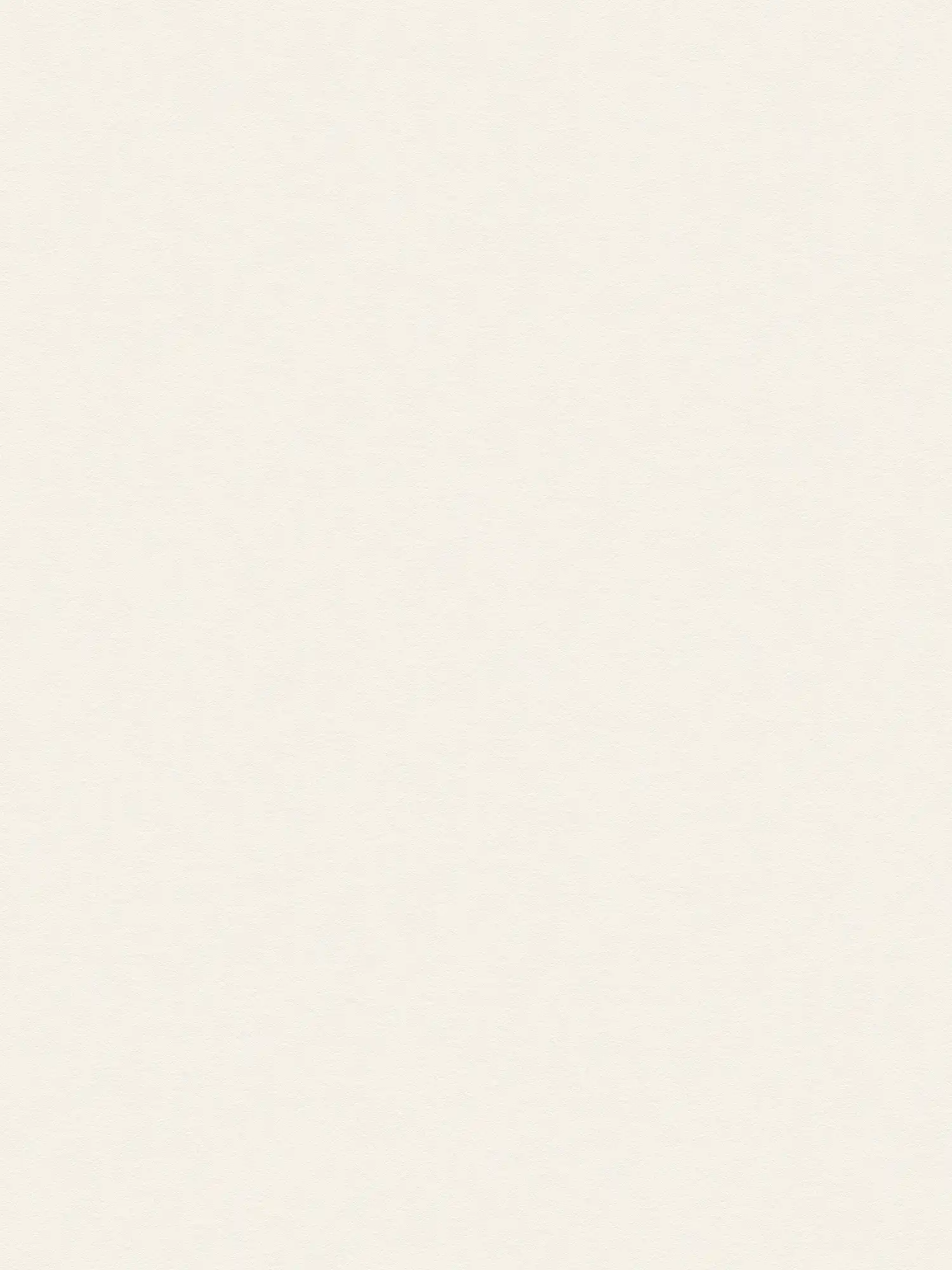 A.S. Création papier peint Designed in White