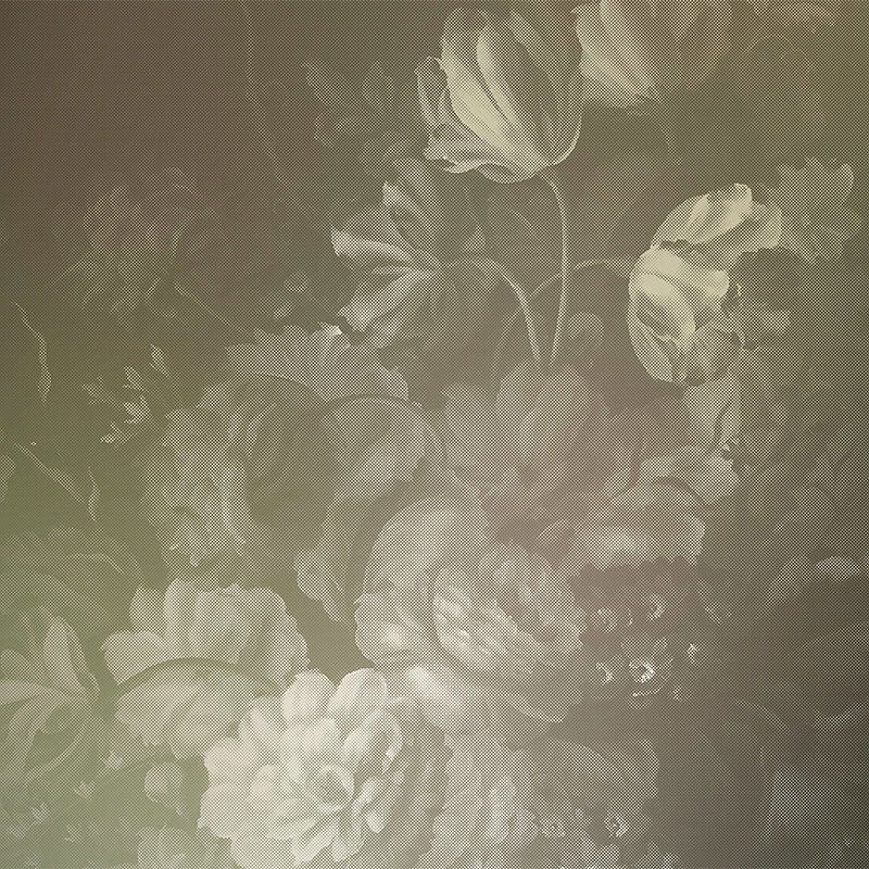 walls by patel Photo wallpaper Walls by Patel 2