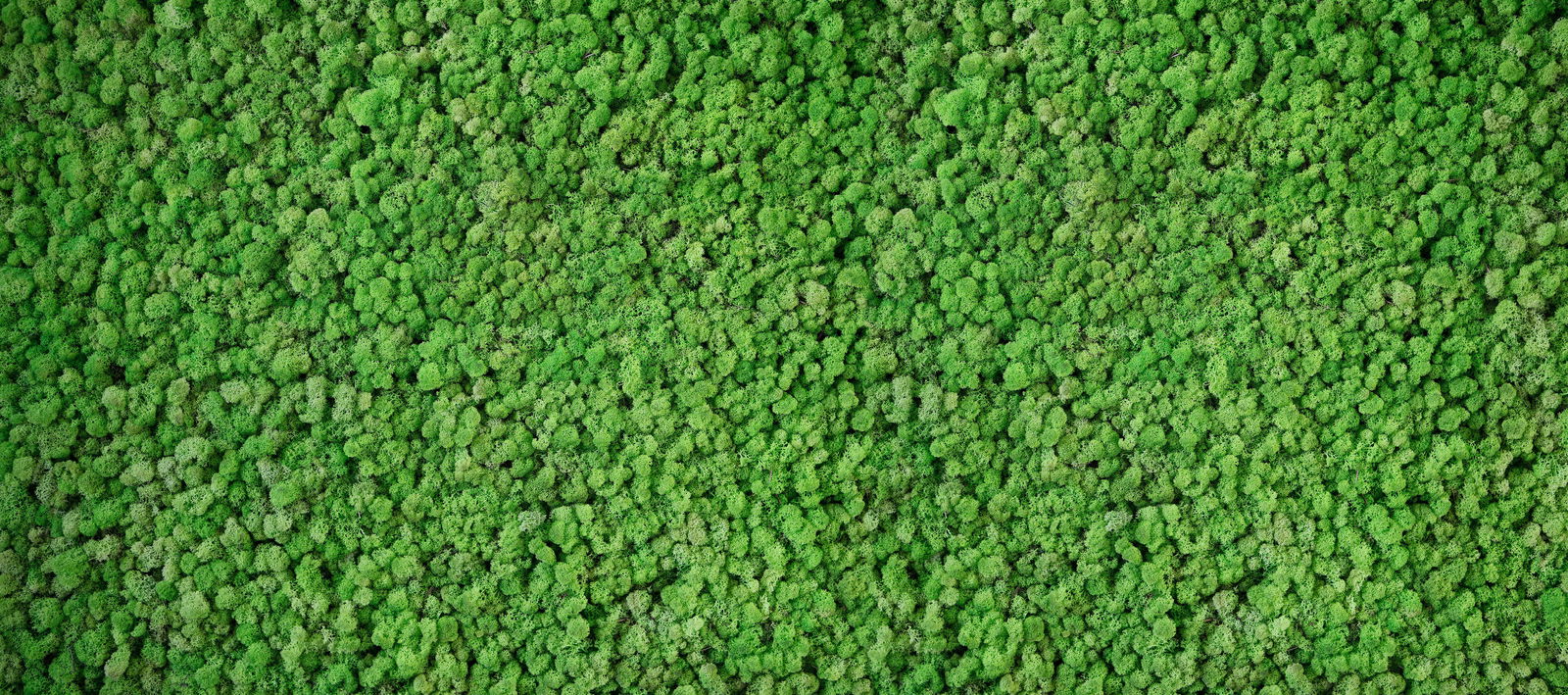 Architects Paper Photo wallpaper AP Digital 4