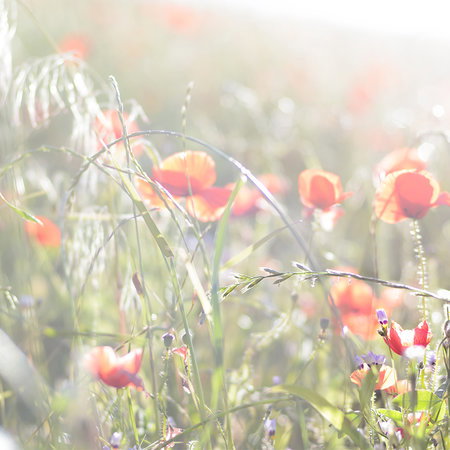 Architects Paper Fotobehang AP Digital 2