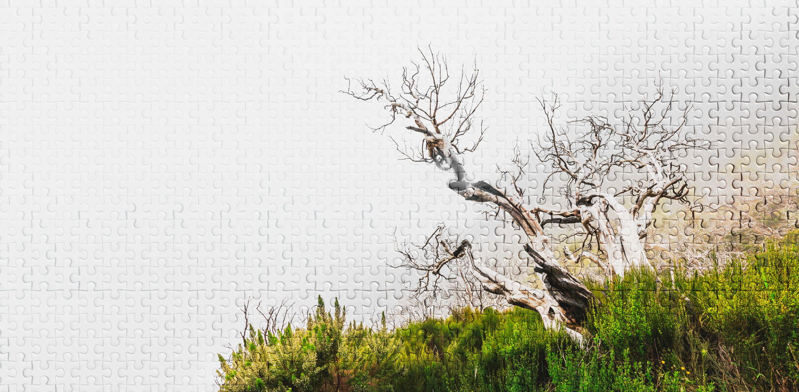 Architects Paper Fotobehang Atelier 47