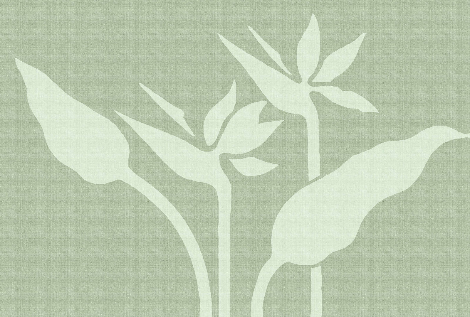 walls by patel Fototapete Walls by Patel 5