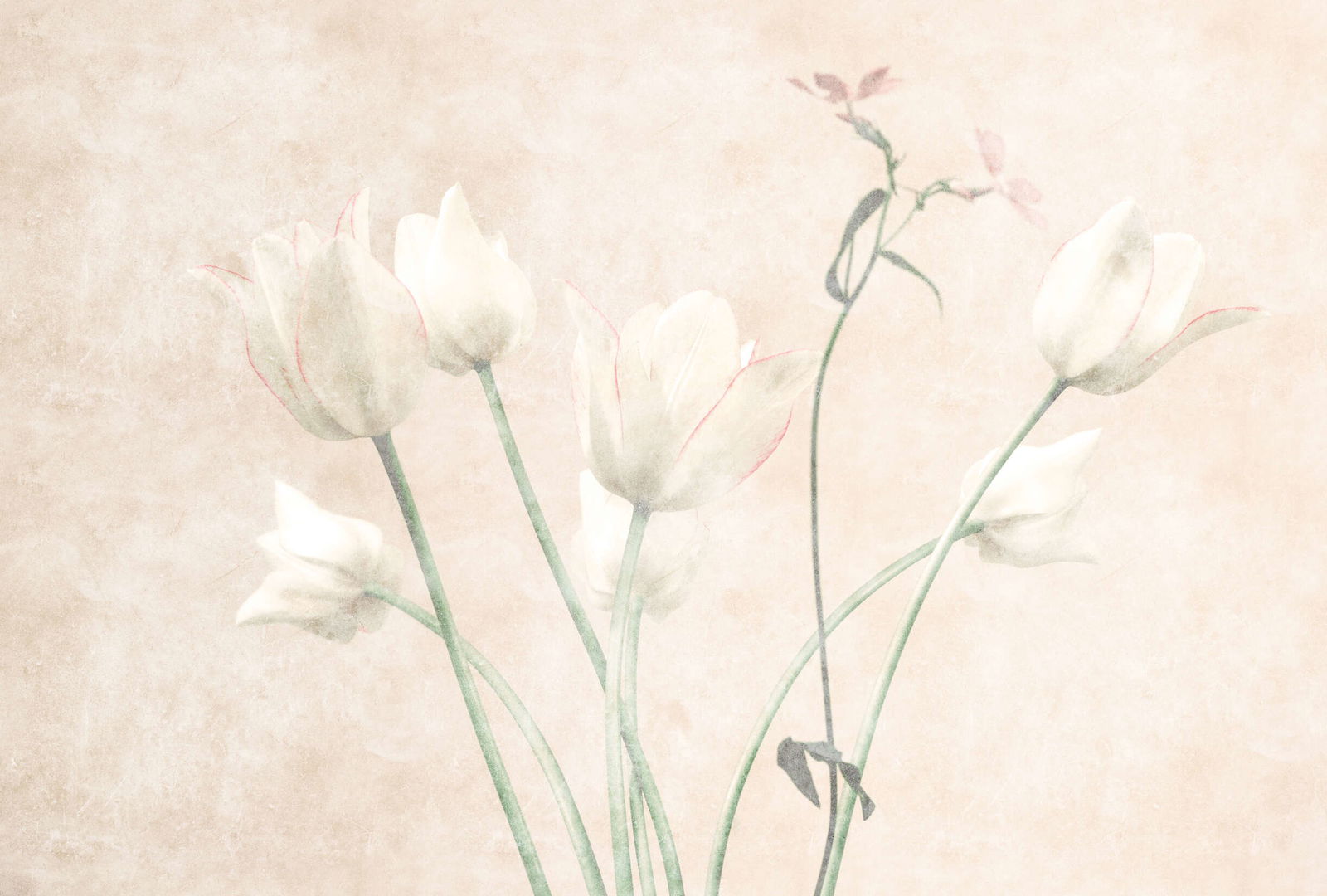 walls by patel Photo wallpaper Walls by Patel 3