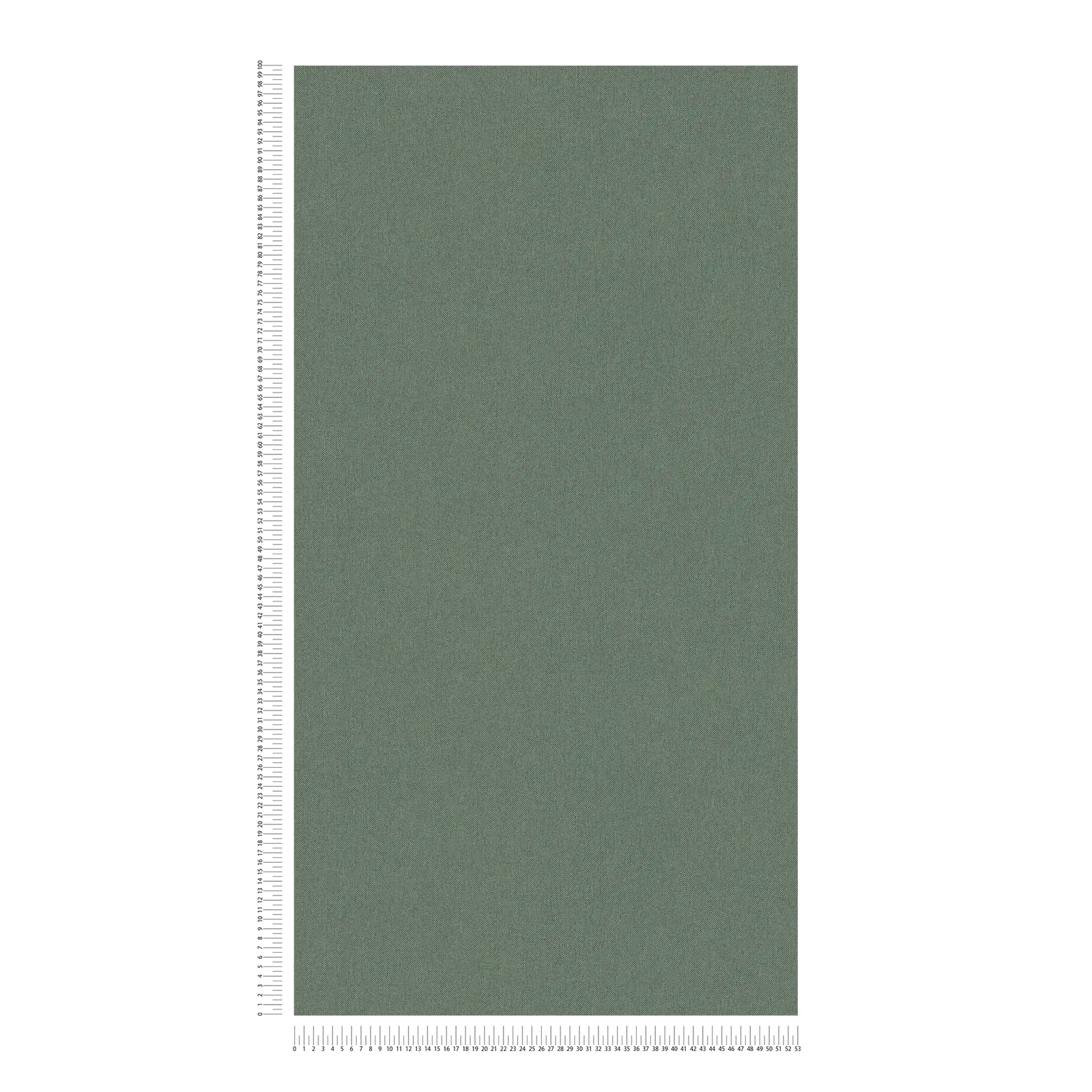 Architects Paper Wallpaper Jungle Chic